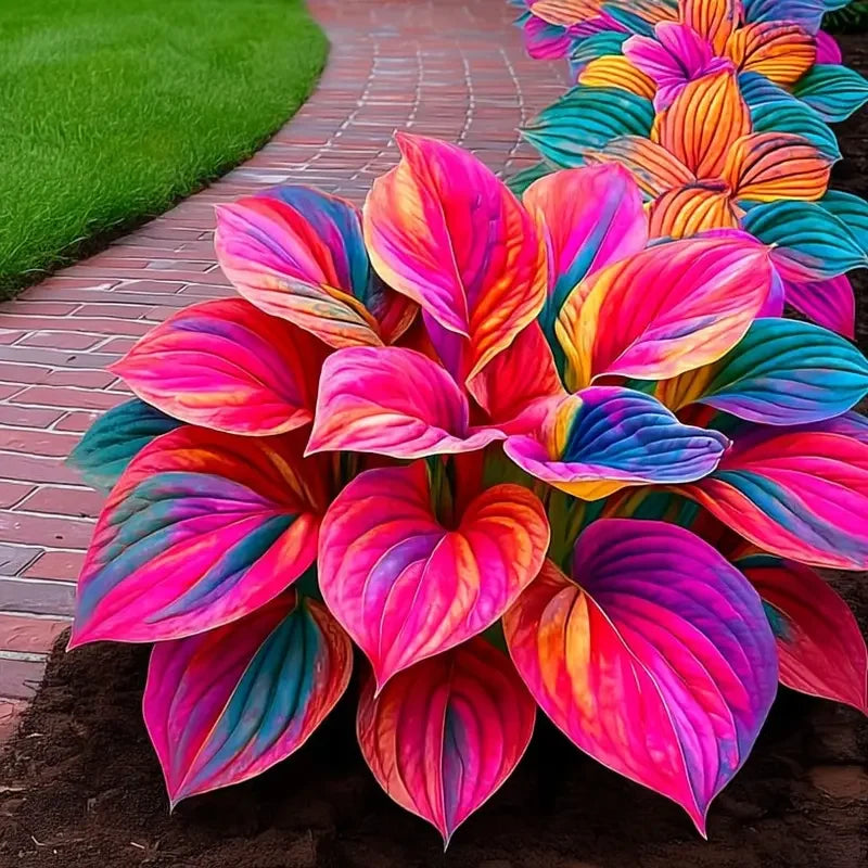 /69c3ef75ff9960000a308c74/2026/04/14/product-img-69ddedf9f707c0639afa4873.png